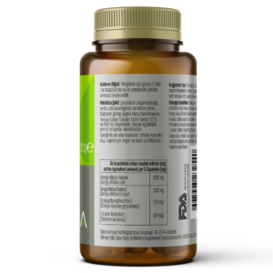 211 Ginkgo Biloba Extract 60 caps