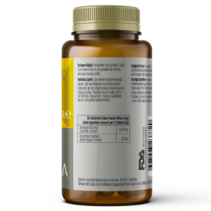 219 Turmeric Curcumin 1120 mg 60 tabs