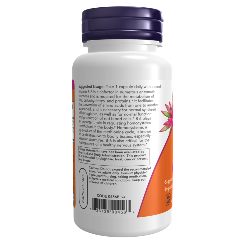 156 Vitamin B-6 100 mg - 100 vcaps